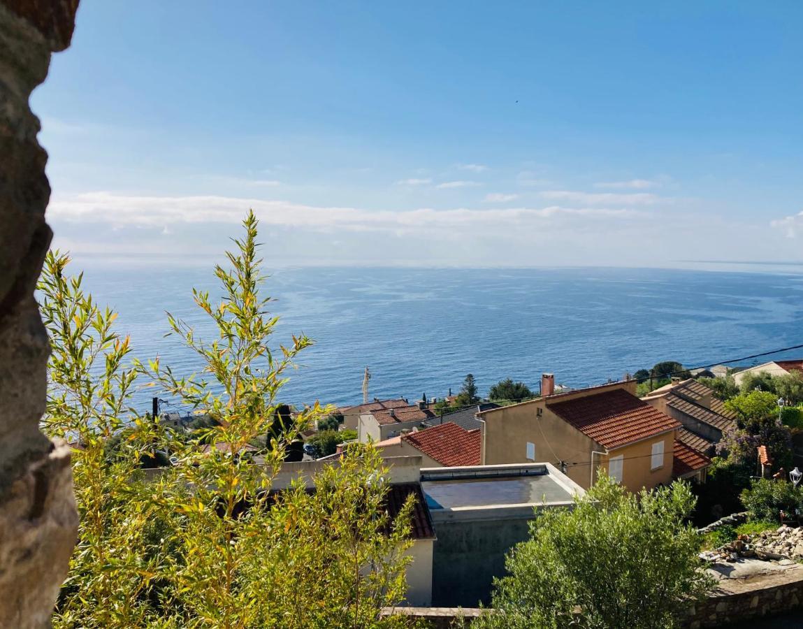 Maison Mediterraneo - Rez De Villa, Vue Imprenable Sur La Mer Pietranera Ngoại thất bức ảnh