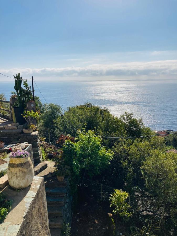 Maison Mediterraneo - Rez De Villa, Vue Imprenable Sur La Mer Pietranera Ngoại thất bức ảnh